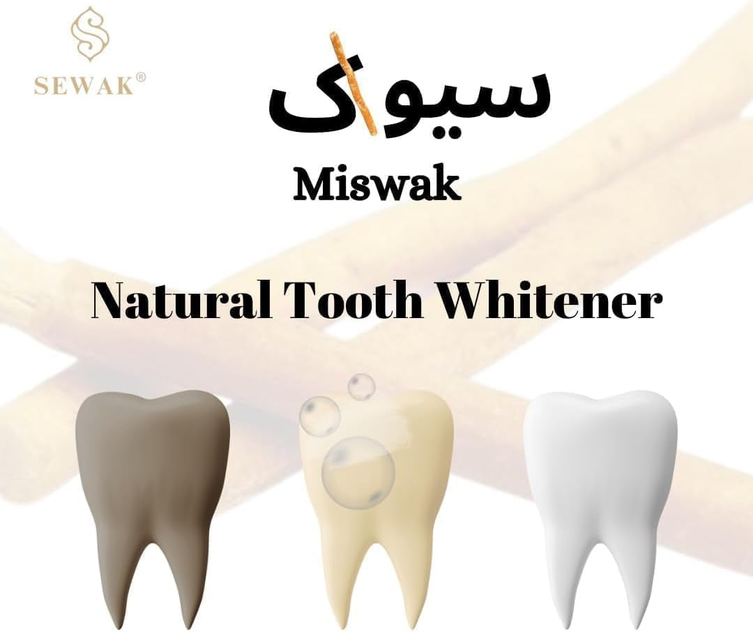 Miswak Sticks for Teeth | Sewak Natural Toothbrush | Siwak Organic Wooden Tooth Brush Oral Teeth Whitener with Holder | Vacuum Sealed مسواك by (1 Pack)